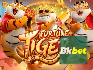 Guia install APK BKBET BR